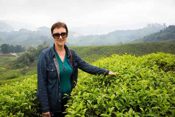 Vrouw is op de theeplantages van de Cameron Highlands, Maleisië — Stockfoto