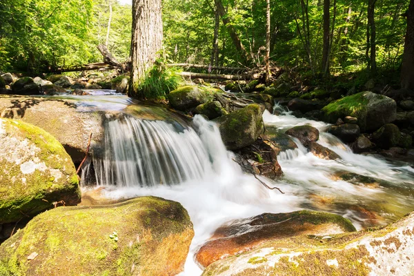 Kleiner Wasserfall auf einem Gebirgsfluss im Sommer — Stockfoto