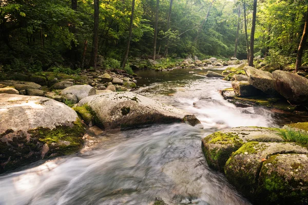 Schnell fließender wilder Fluss — Stockfoto