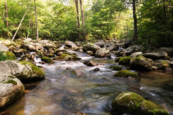 Mountain river with rapid current — Stock Photo, Image