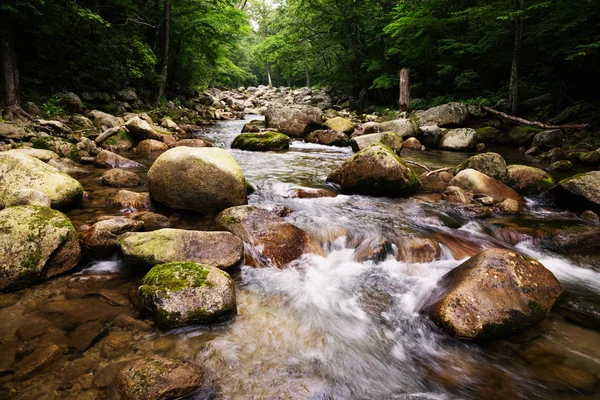 Beau paysage estival de la rivière dans une zone sauvage — Photo