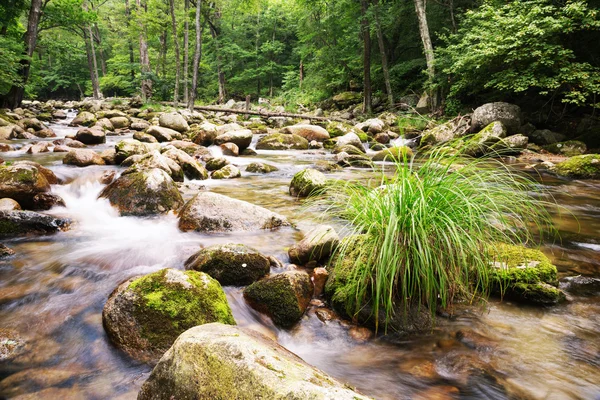 Vue sur la rivière estivale dans une région montagneuse reculée — Photo