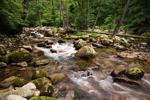 Vue sur la rivière estivale dans une région montagneuse reculée — Photo