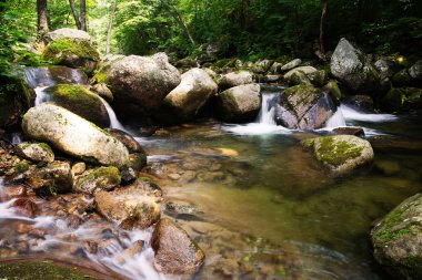 Tayga dağlık bölgesinde nehir manzara 