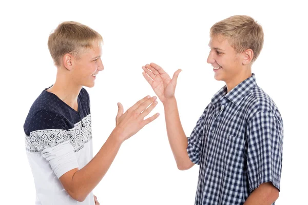 Young cute brothers greet Stock Picture