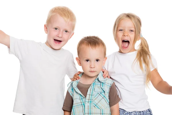 Children enthusiastically shouting Stock Image