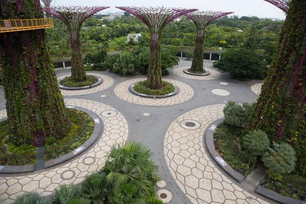 Tuinen bij de baai van Singapore Rechtenvrije Stockfoto's