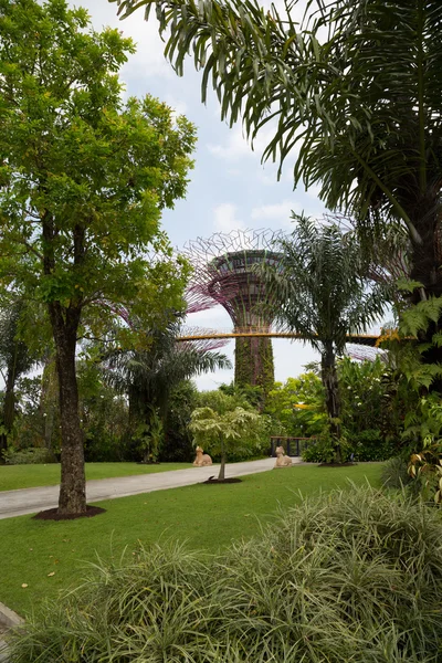 싱가포르 만으로 가는 정원 스톡 사진