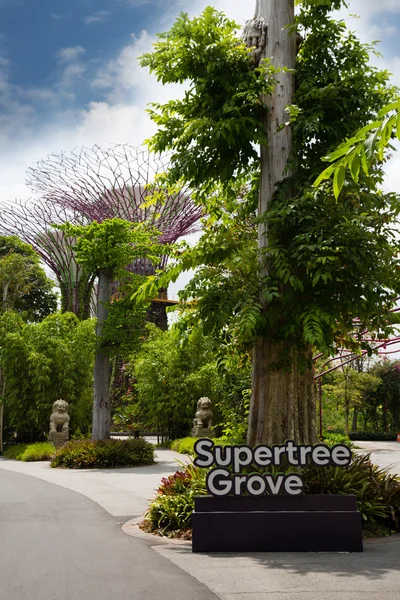 Park Gardens by the Bay em Singapura — Fotografia de Stock