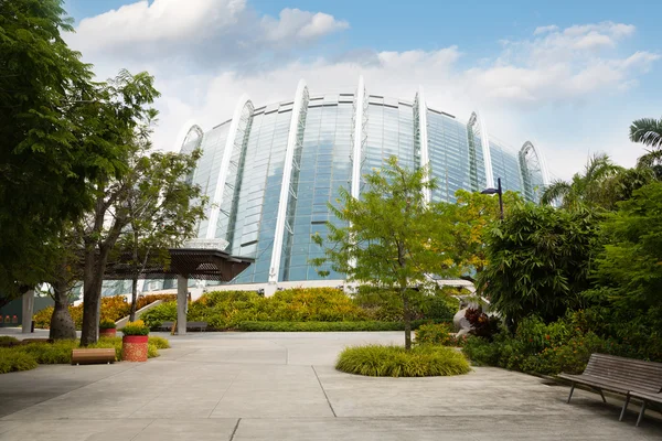 Park Gardens by the Bay in Singapore — Stock Photo, Image