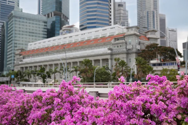 Distrito central de negócios de Singapura com flores — Fotografia de Stock