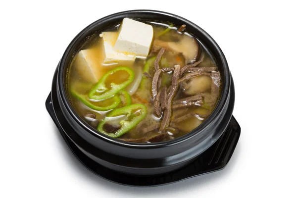 Houbová polévka se zeleninou, hovězí maso a tofu — Stock fotografie