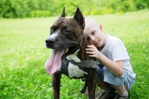 Boy with American Staffordshire Terrier — Stock Photo, Image
