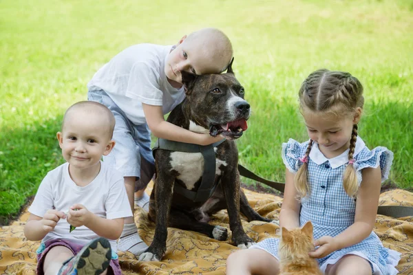 Sister and brothers playing with Staffordshire Terrier — Stock Photo, Image