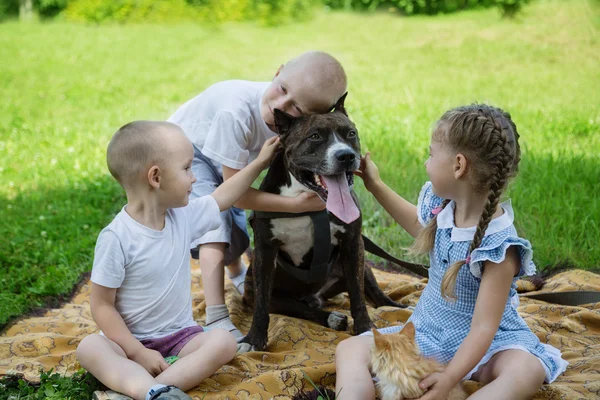 Sister and brothers playing with Staffordshire Terrier — Stock Photo, Image