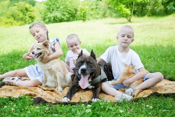 Sister and brother playing with a dogs and a cat — Stock Photo, Image