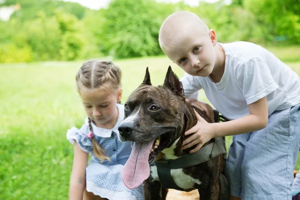 Brother and sister with Staffordshire Terrier — Stock Photo, Image