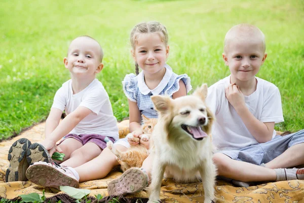 Sister with brothers playing with a cat and a dog — Stock Photo, Image
