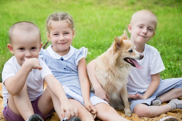 Sister and brothers with a dog — Stock Photo, Image