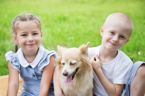 Sister and brother with a dog — Stock Photo, Image