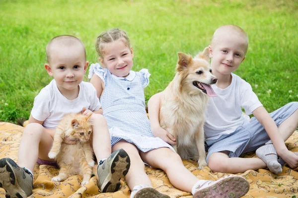 Sister and brothers with a dog and a cat — Stock Photo, Image