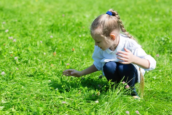 Девушка ловит кузнечика в траве — стоковое фото