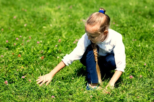 Menina com na grama pega gafanhoto — Fotografia de Stock