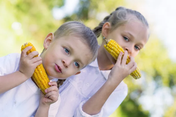 Sorella e fratello mangiare mais — Foto Stock