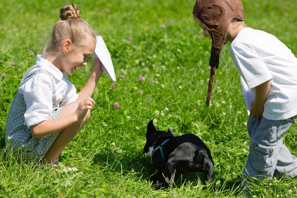 Barn som leker med hunden, fransk bulldog — Stockfoto