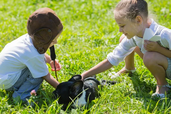 Children playing with the dog, French bulldog — Stock Photo, Image