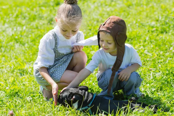 Joyful kids playing with the dog, French bulldog — Stock Photo, Image