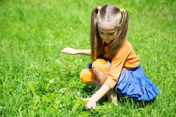 Belle fille attrape une sauterelle dans l'herbe — Photo