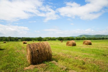 Rulo haystacks eğimli çayır alanların yalan