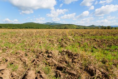 Plowed field after harvesting crops grown
