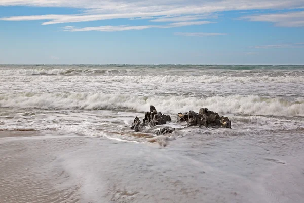 Japan Sea coast evening — Stockfoto