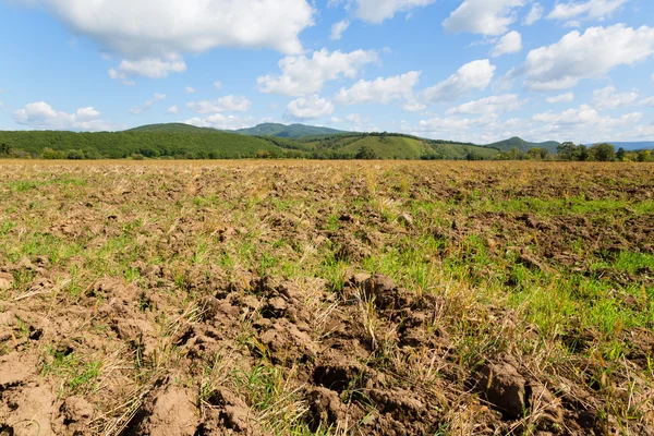 Plowed field after harvesting crops grown — 스톡 사진