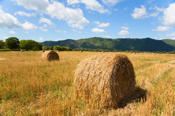 Haystacks sur le terrain à l'automne — Photo