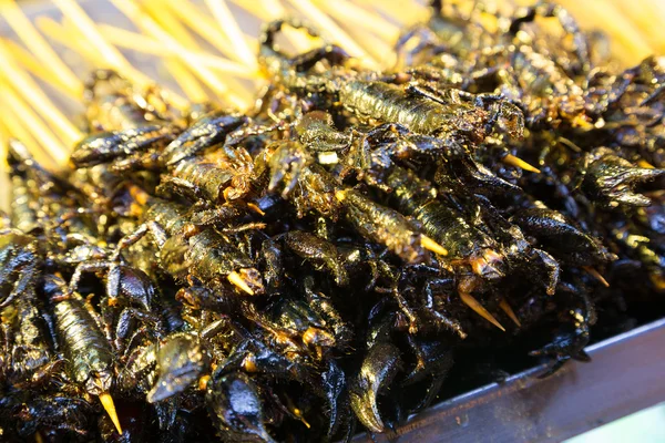 Black scorpions on skewers cooked for food — Stock Photo, Image