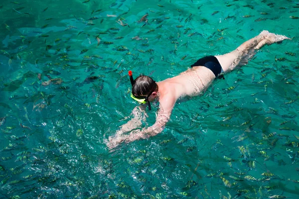 Mann schwimmt zwischen Fischen in Maske und Schnorchel, Thailand — Stockfoto