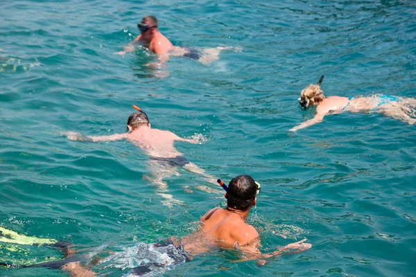 İnsanlar balık ve snorkel, Tayland arasında yüzmek