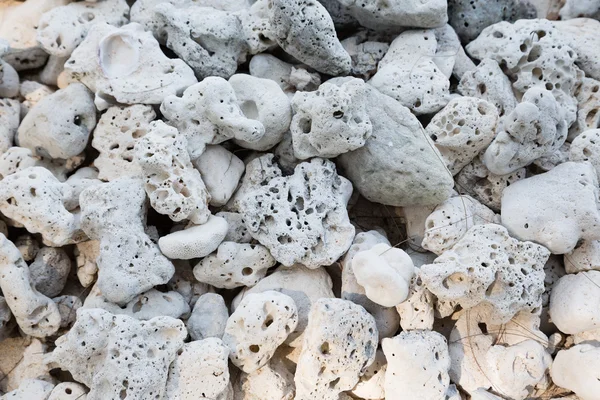 Torkade koraller samlas in på stranden av ön i Andaman — Stockfoto