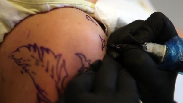 Tatuagem artista imagem de rastreamento do pássaro — Vídeo de Stock