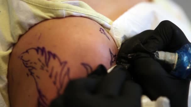 Tattoo artiest de functie Afbeelding overtrekken van de vogel — Stockvideo