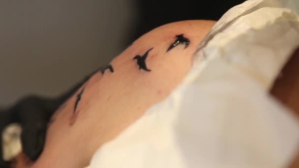 Tatuaggio artista ombreggiatura l'immagine di una piuma — Video Stock