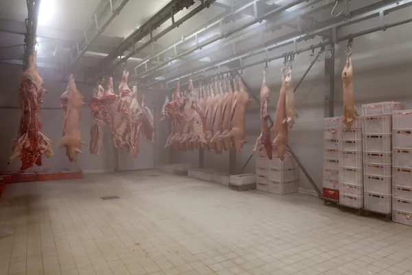 Lados de cerdo colgados de ganchos en el almacén frigorífico de un carnicero — Foto de Stock