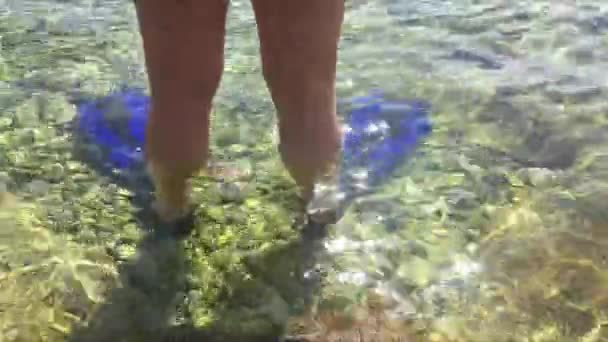 Mann mit Schwimmflossen an den Füßen steht im Wasser — Stockvideo