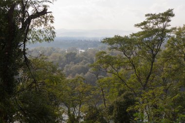 Bulutlu, sisli gün ormanda Vadisi, RIV bakan