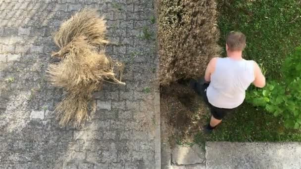 Hombre trabajando en el jardín con una pala — Vídeo de stock