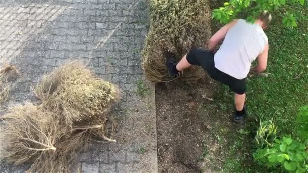 Hombre trabajando en el jardín con una pala — Vídeo de stock