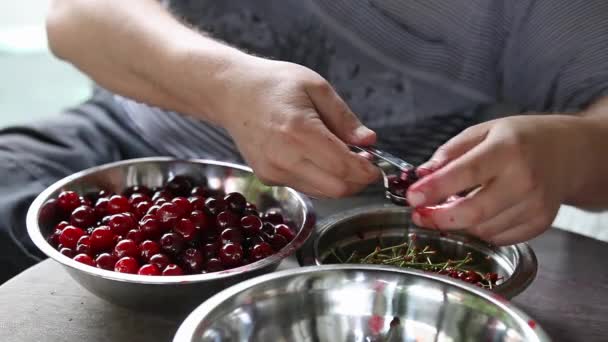 Man pitting sour cherries — Stock Video